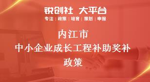 内江市中小企业成长工程补助奖补政策