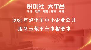 2021年泸州市中小企业公共服务示范平台申报要求奖补政策