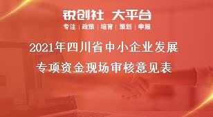 2021年四川省中小企业发展专项资金现场审核意见表奖补政策