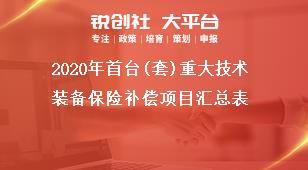 2020年首台(套)重大技术装备保险补偿项目汇总表奖补政策