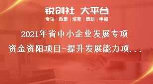 2021年省中小企业发展专项资金资阳项目-提升发展能力项目支持额度奖补政策