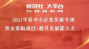 2021年省中小企业发展专项资金资阳项目-提升发展能力支持方式奖补政策