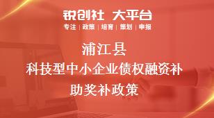蒲江县科技型中小企业债权融资补助奖补政策