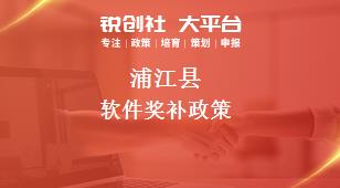 蒲江县软件奖补政策