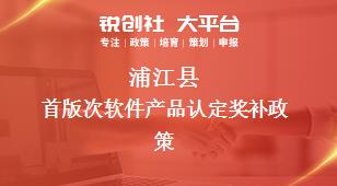 蒲江县首版次软件产品认定奖补政策