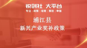 蒲江县新兴产业奖补政策