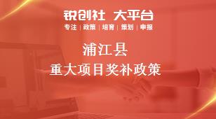 蒲江县重大项目奖补政策