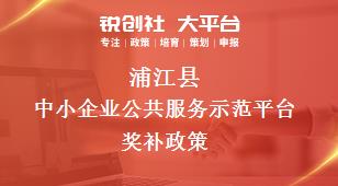 蒲江县中小企业公共服务示范平台奖补政策