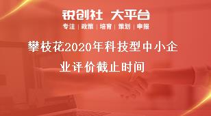 攀枝花2020年科技型中小企业评价截止时间奖补政策