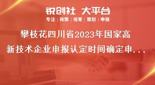攀枝花四川省2023年国家高新技术企业申报认定时间确定申报程序奖补政策