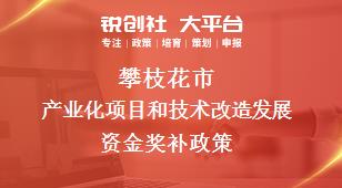 攀枝花市产业化项目和技术改造发展资金奖补政策