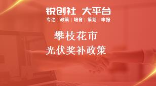 攀枝花市光伏奖补政策