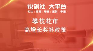 攀枝花市高增长奖补政策