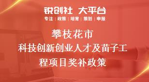 攀枝花市科技创新创业人才及苗子工程项目奖补政策