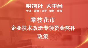 攀枝花市企业技术改造专项资金奖补政策