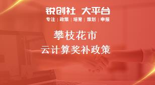 攀枝花市云计算奖补政策