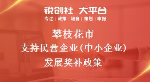 攀枝花市支持民营企业(中小企业)发展奖补政策