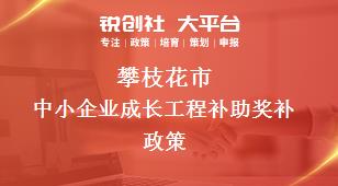 攀枝花市中小企业成长工程补助奖补政策