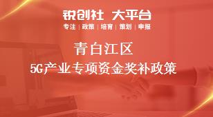 青白江区5G产业专项资金奖补政策