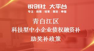 青白江区科技型中小企业债权融资补助奖补政策