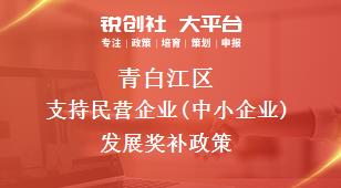 青白江区支持民营企业(中小企业)发展奖补政策