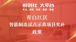 青白江区智能制造试点示范项目奖补政策