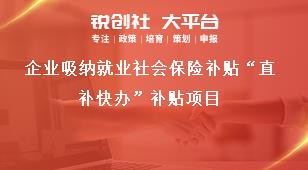 企业吸纳就业社会保险补贴“直补快办”补贴项目奖补政策