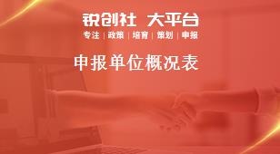 申报单位概况表奖补政策
