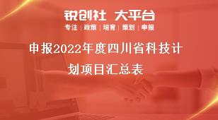 申报2021年度四川省科技计划项目汇总表奖补政策