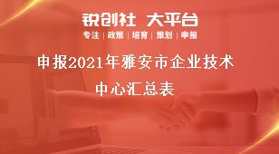 申报2021年雅安市企业技术中心汇总表奖补政策