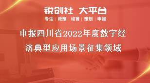 申报四川省2022年度数字经济典型应用场景征集领域奖补政策