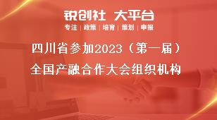 四川省参加2023（第一届）全国产融合作大会组织机构奖补政策