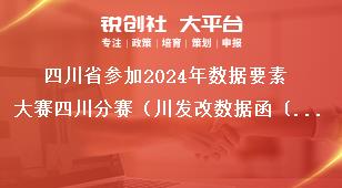 四川省参加2024年数据要素大赛四川分赛（川发改数据函〔2024〕422号）奖项设置奖补政策