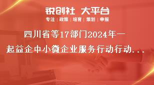 四川省等17部门2024年一起益企中小微企业服务行动行动内容奖补政策