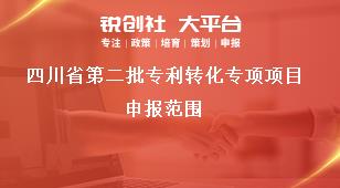 四川省第二批专利转化专项项目申报范围奖补政策