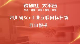 四川省5G+工业互联网标杆项目申报书奖补政策