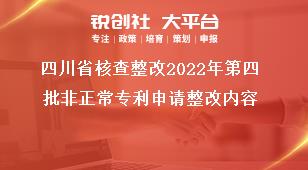 四川省核查整改2022年第四批非正常专利申请整改内容奖补政策