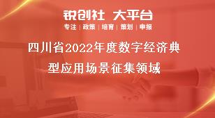 四川省2022年度数字经济典型应用场景征集领域奖补政策