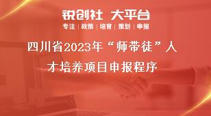 四川省2023年“师带徒”人才培养项目申报程序奖补政策