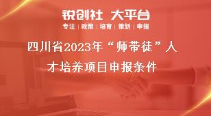 四川省2023年“师带徒”人才培养项目申报条件奖补政策