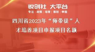 四川省2023年“师带徒”人才培养项目申报项目名额奖补政策