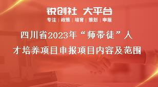 四川省2023年“师带徒”人才培养项目申报项目内容及范围奖补政策