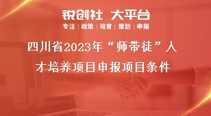 四川省2023年“师带徒”人才培养项目申报项目条件奖补政策