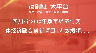 四川省2020年数字经济与实体经济融合创新项目-大数据领域支持方向奖补政策