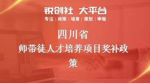 四川省师带徒人才培养项目相关配套奖补政策