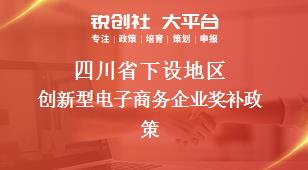 四川省下设地区创新型电子商务企业奖补政策