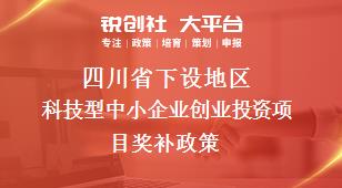 四川省下设地区科技型中小企业创业投资项目奖补政策