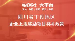 四川省下设地区企业上规奖励项目奖补政策