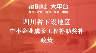 四川省下设地区中小企业成长工程补助奖补政策