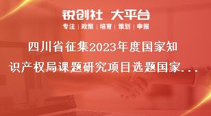 四川省征集2023年度国家知识产权局课题研究项目选题国家知识产权局专利专项研究项目奖补政策